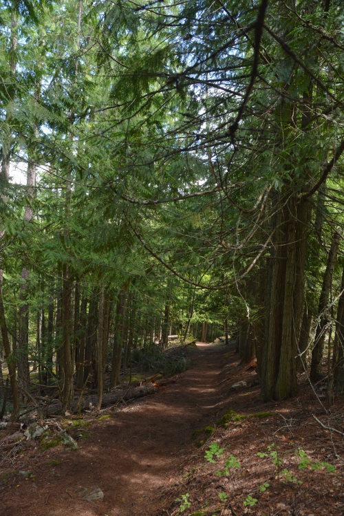 lighthouse trail